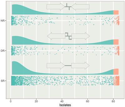 Adding context to the pneumococcal core genes using bioinformatic analysis of the intergenic pangenome of Streptococcus pneumoniae